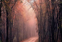 瓦伦西亚客场三连胜，实力凸显